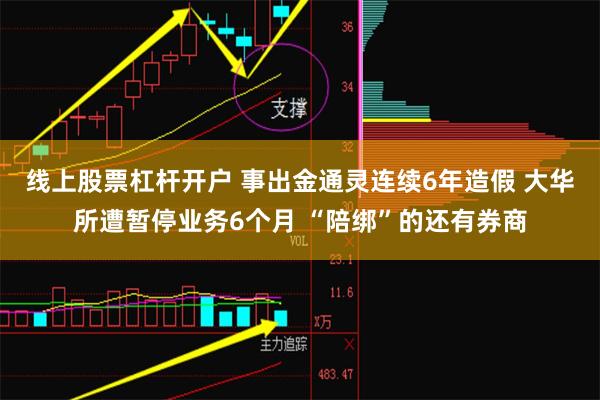 线上股票杠杆开户 事出金通灵连续6年造假 大华所遭暂停业务6个月 “陪绑”的还有券商