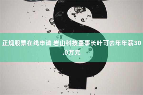 正规股票在线申请 岩山科技董事长叶可去年年薪30.0万元