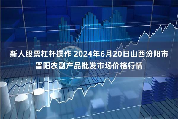 新人股票杠杆操作 2024年6月20日山西汾阳市晋阳农副产品批发市场价格行情