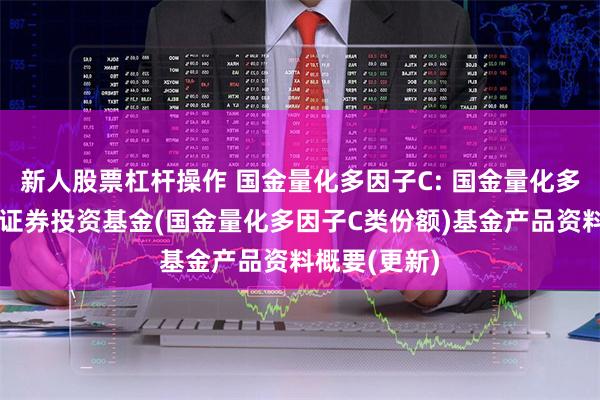 新人股票杠杆操作 国金量化多因子C: 国金量化多因子股票型证券投资基金(国金量化多因子C类份额)基金产品资料概要(更新)