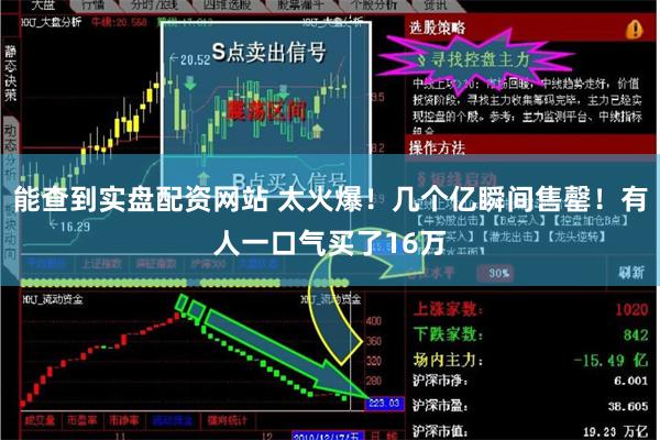 能查到实盘配资网站 太火爆！几个亿瞬间售罄！有人一口气买了16万