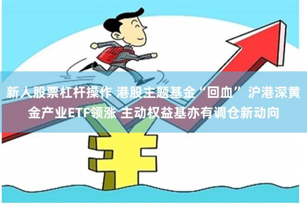 新人股票杠杆操作 港股主题基金“回血” 沪港深黄金产业ETF领涨 主动权益基亦有调仓新动向