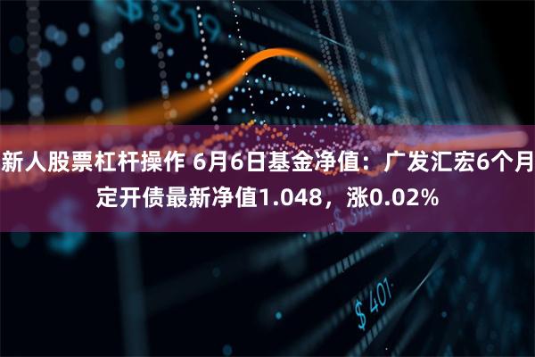 新人股票杠杆操作 6月6日基金净值：广发汇宏6个月定开债最新净值1.048，涨0.02%