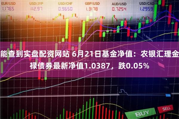 能查到实盘配资网站 6月21日基金净值：农银汇理金禄债券