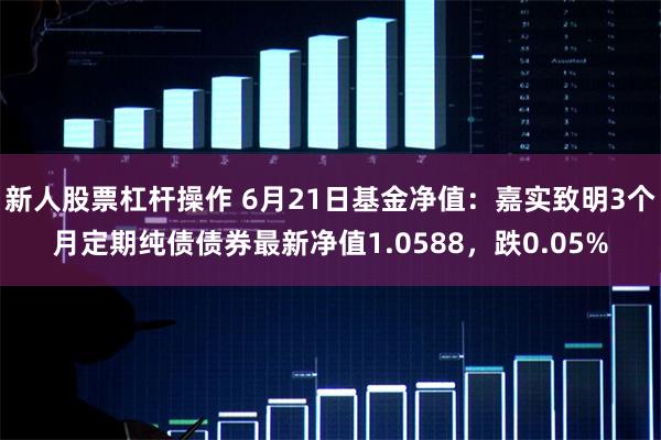 新人股票杠杆操作 6月21日基金净值：嘉实致明3个月定期纯债债券最新净值1.0588，跌0.05%